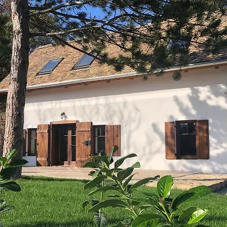 Вилла Pirk Vendeghaz *